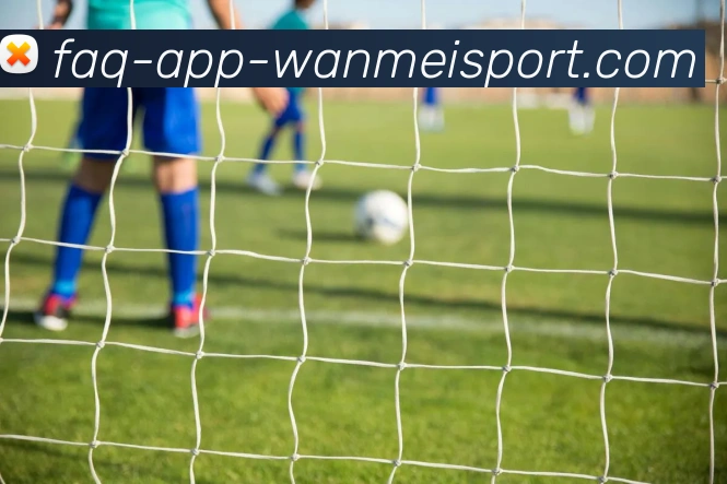 完美体育appAPP 体育赛事宣传图